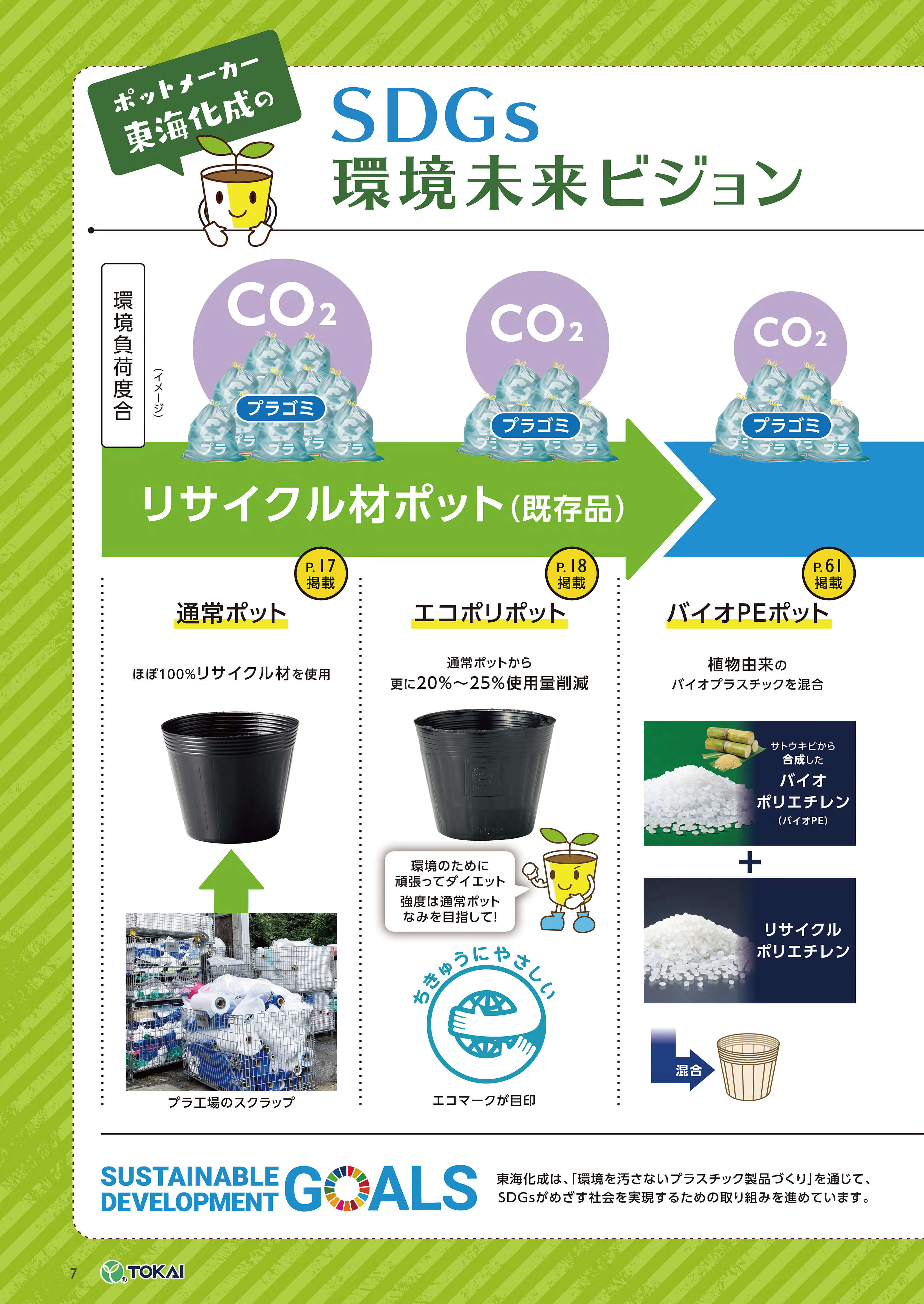 M*i様 2025実生苗セットt❤️　4センチポット 新作2024実生苗セットr⚠️4センチポット TOポリポット シリーズ